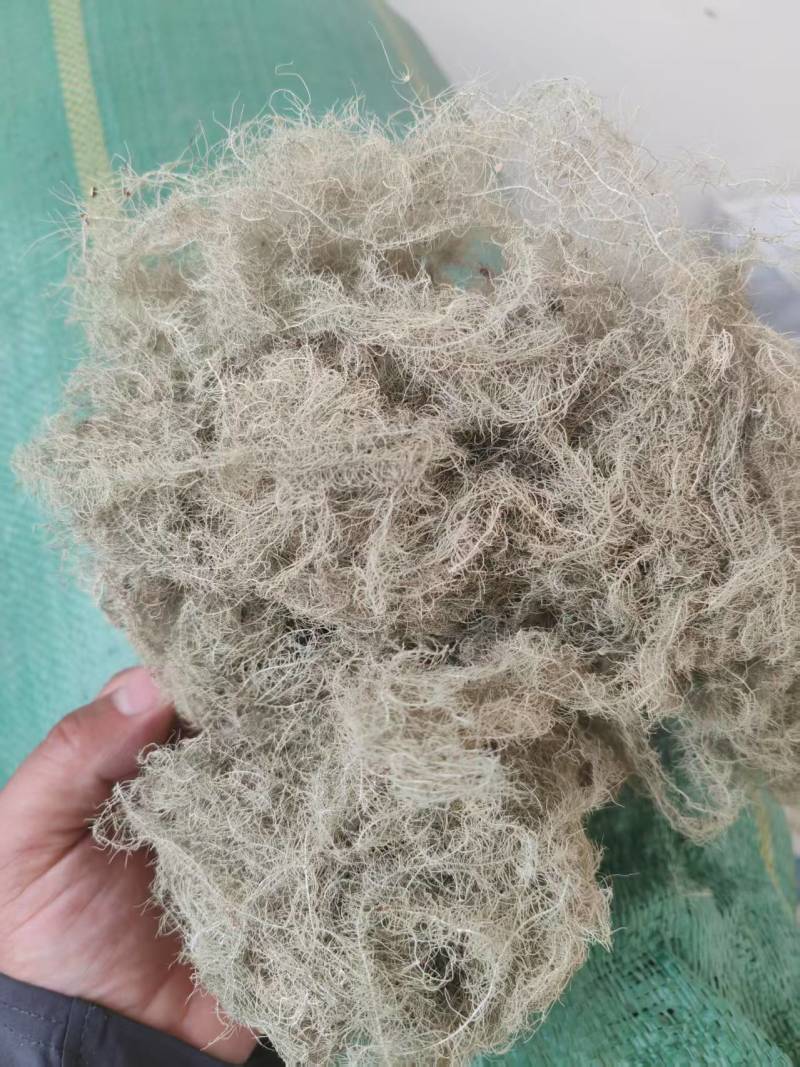 松萝云雾草精品产地直供支持线上交易