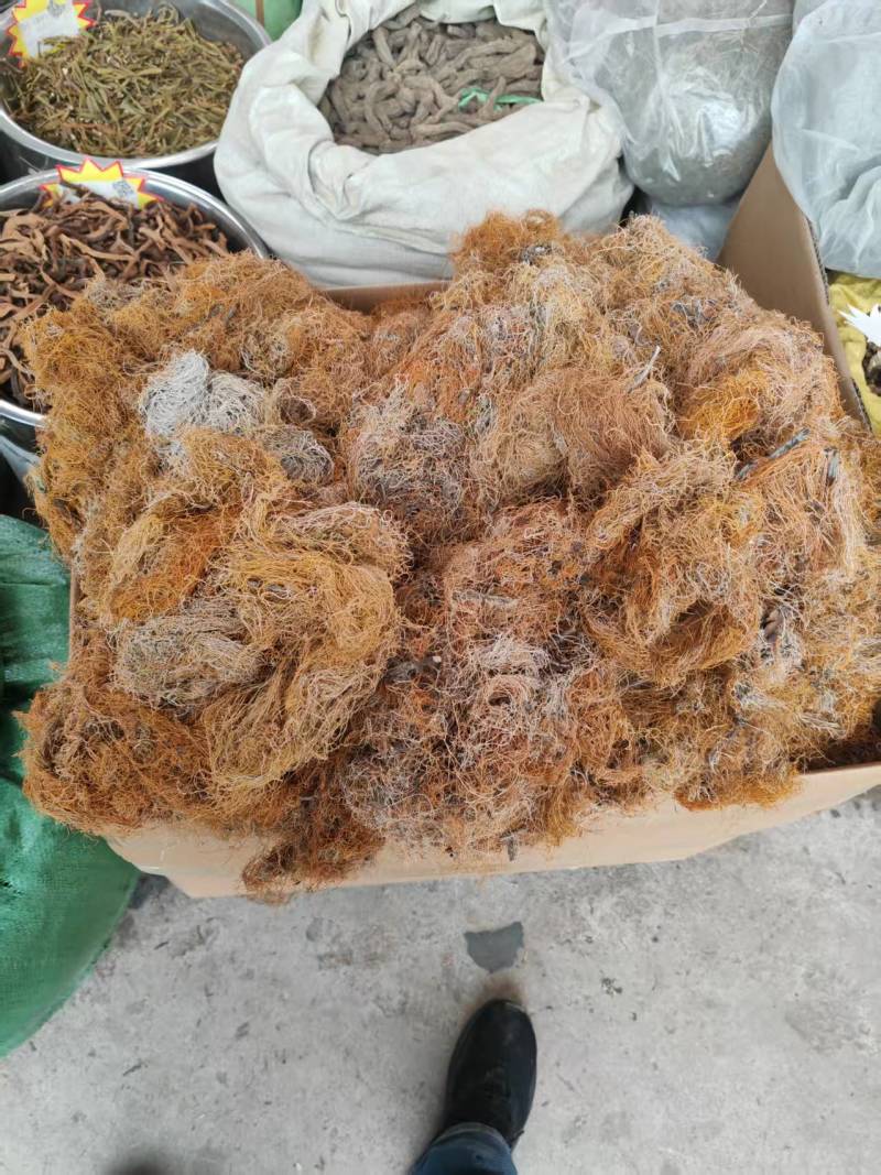 四川精品红雪茶大量上市正品红雪茶品质保证