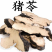 包邮）正宗猪苓片朱苓中药材猪苓野生药材500克