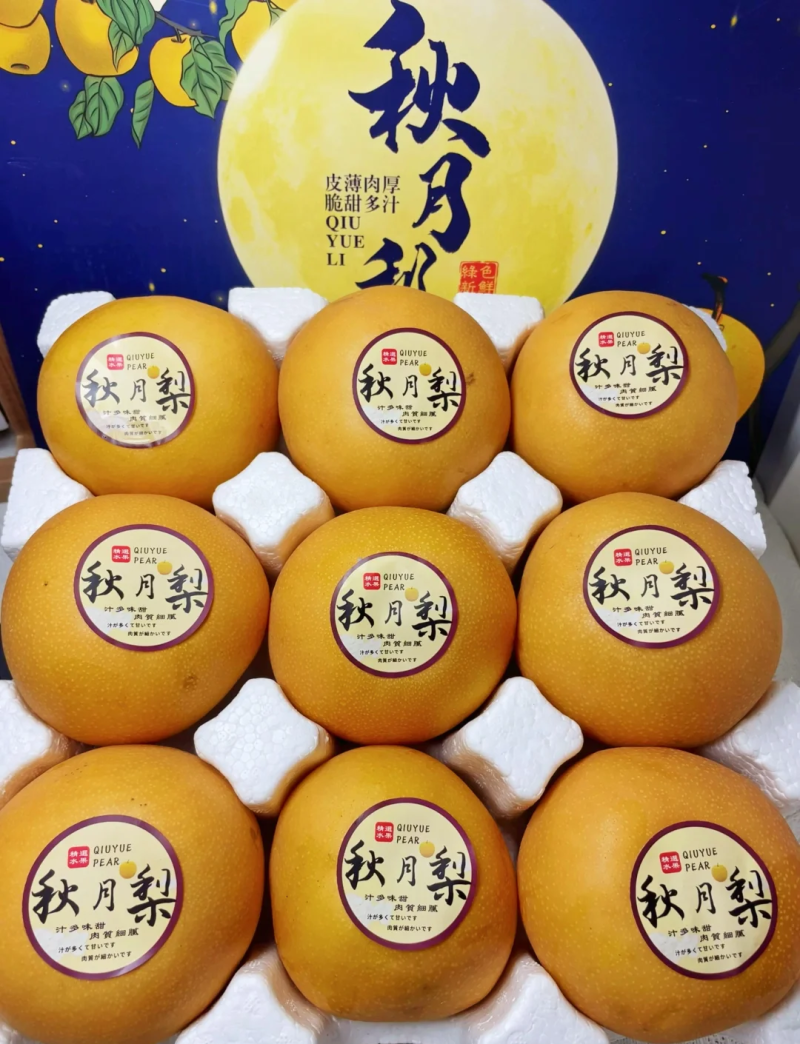 山西运城秋月梨量大的老板联系