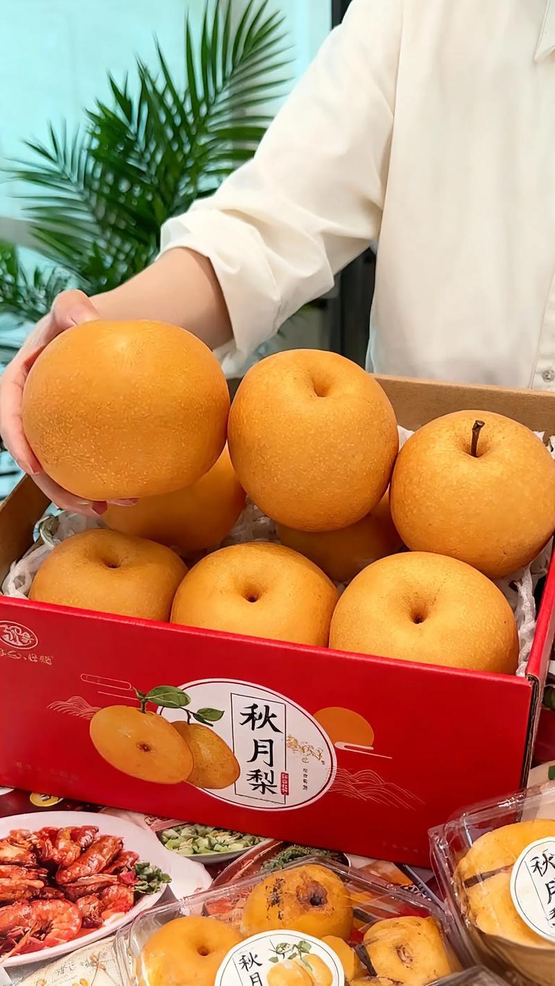 山西运城秋月梨量大的老板联系