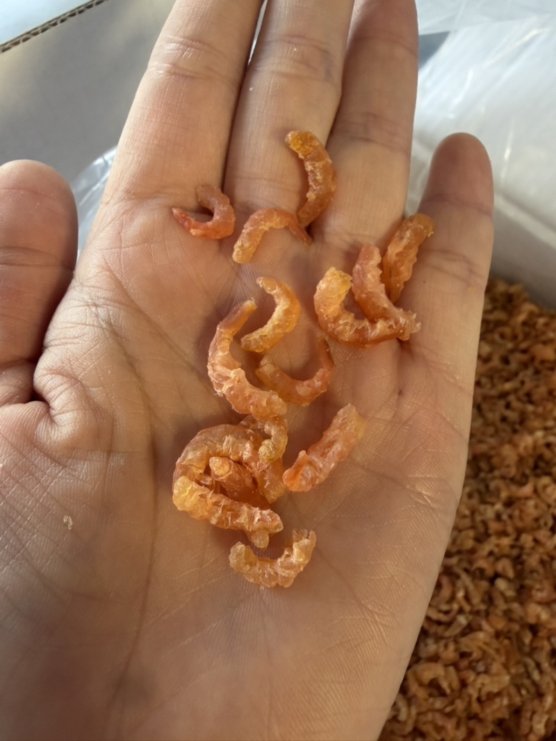 南极磷虾肉磷虾皮米磷虾仁淡干无盐批发不包邮