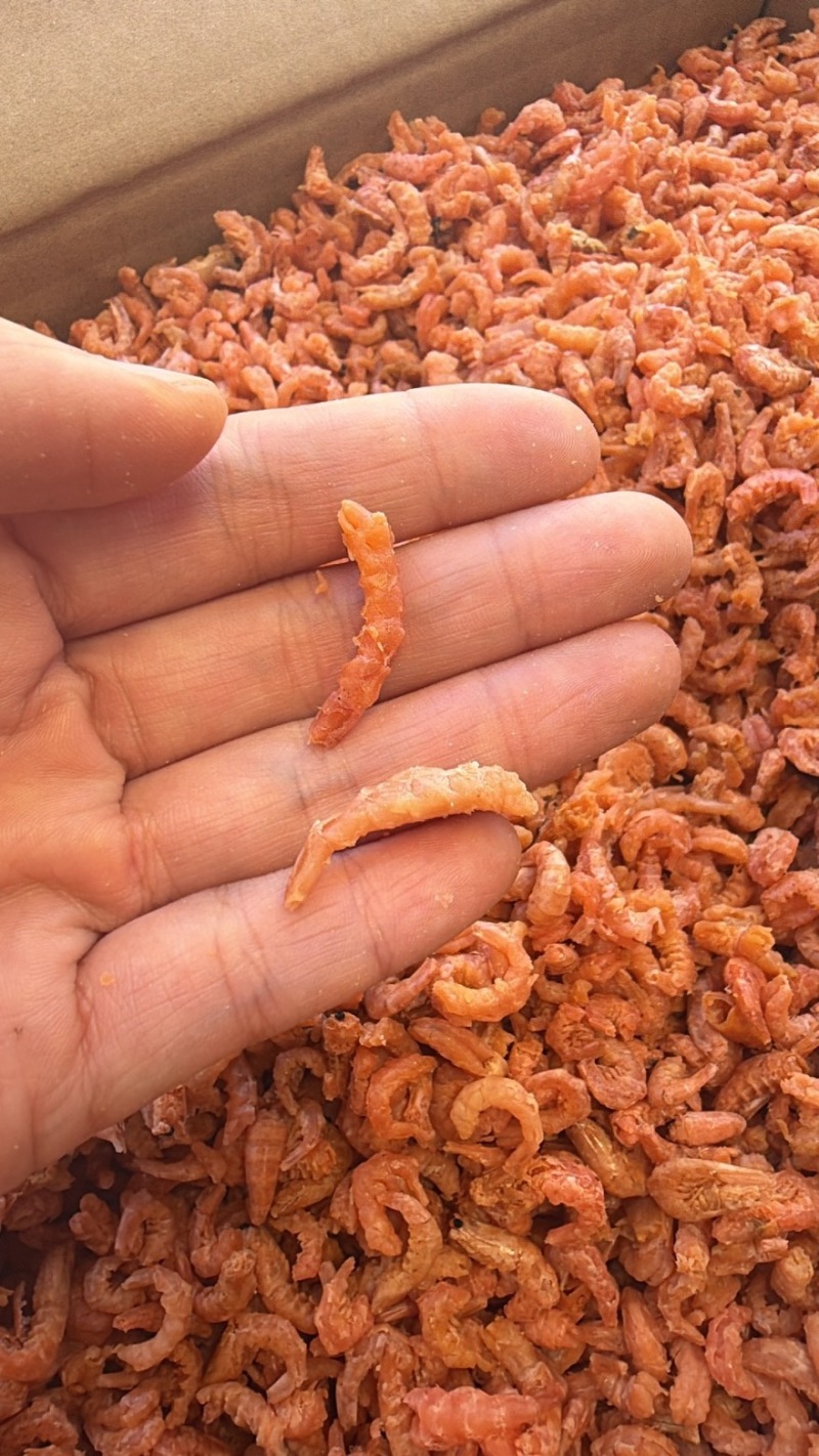 南极磷虾肉磷虾皮米磷虾仁淡干无盐批发不包邮