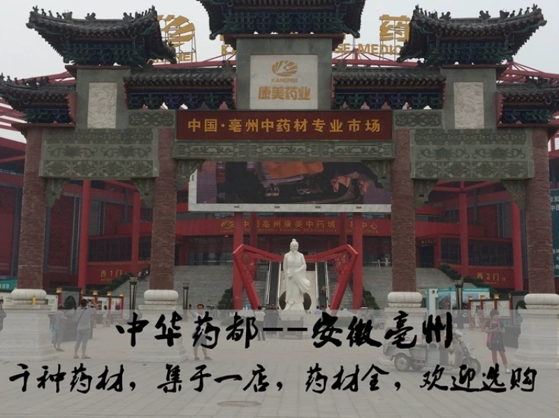 包邮）南沙参中药材南沙参别名三叶沙参500g