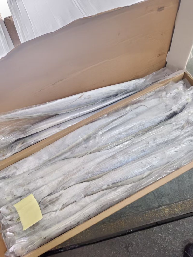 阿曼钓带AB全规格，正关一手货源