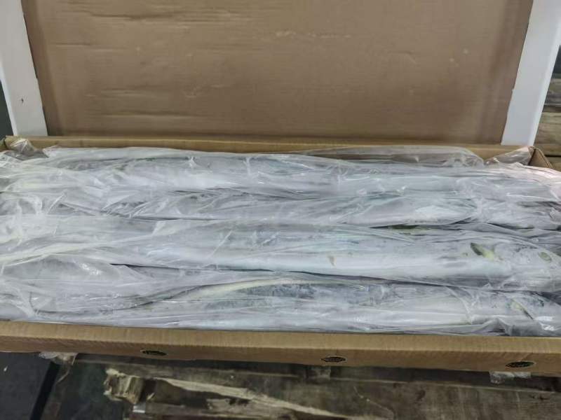 阿曼钓带AB全规格，正关一手货源