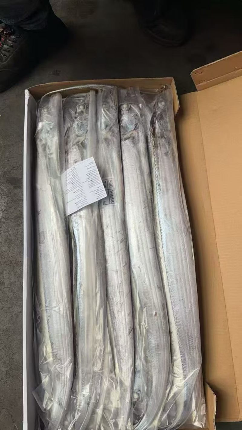 阿曼钓带AB全规格，正关一手货源