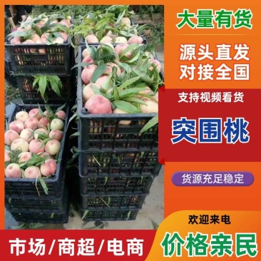突围桃，沙红桃，雄森桃，压变桃，中桃，大量上市现摘现发