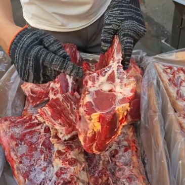 牛蝎子