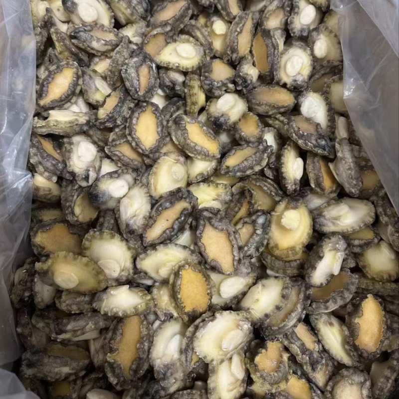 鲍鱼鲍鱼肉冷冻鲍鱼电商酒店团购实体餐饮