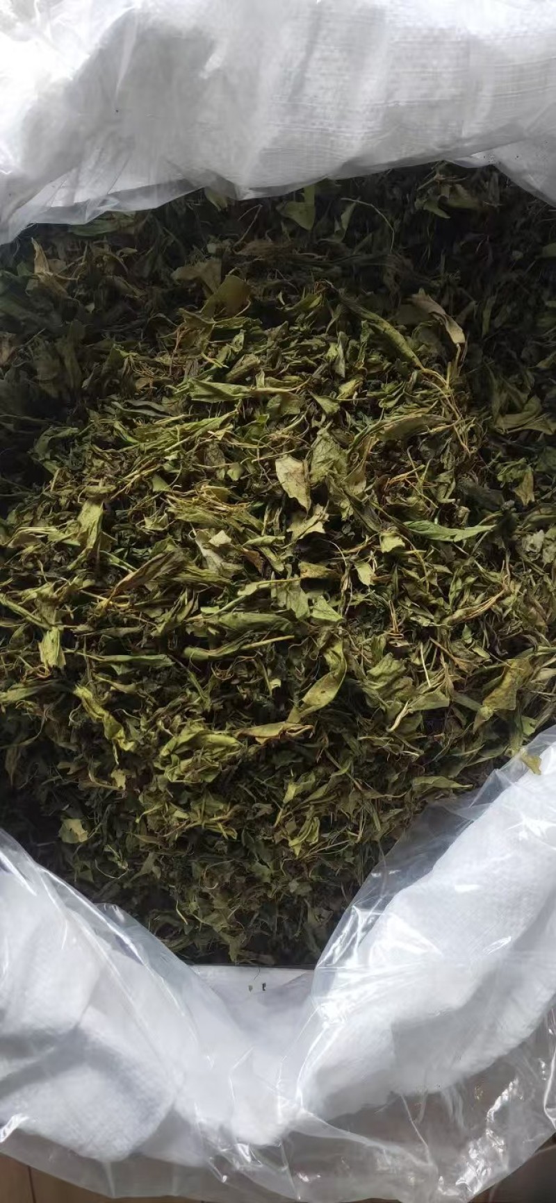 甜茶原料:甜叶悬钩子，木姜叶柯