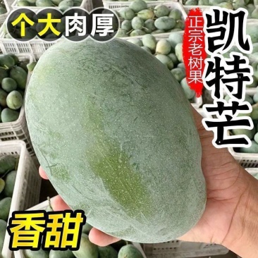 四川凯特芒，产地一手货源，量大优惠，对接全国市场电商平台