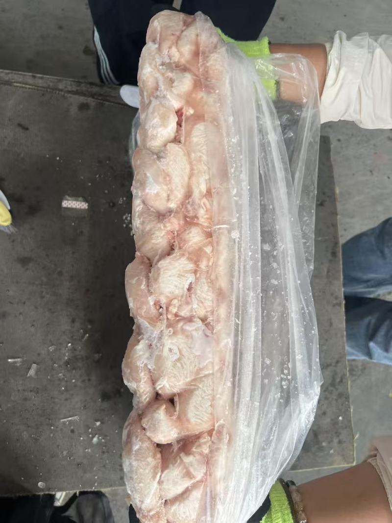 吹气小肚一件300个22一23公斤质量好价格低