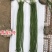 压塌架长豇豆种籽抗病高产籽少小叶肉厚长豆角种大田基地专用