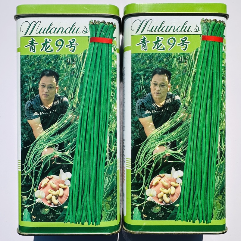 压塌架长豇豆种籽抗病高产籽少小叶肉厚长豆角种大田基地专用