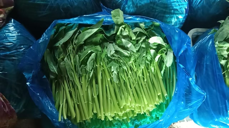江苏空心菜，精品空心菜，自家基地，一手货源，保质保量，欢