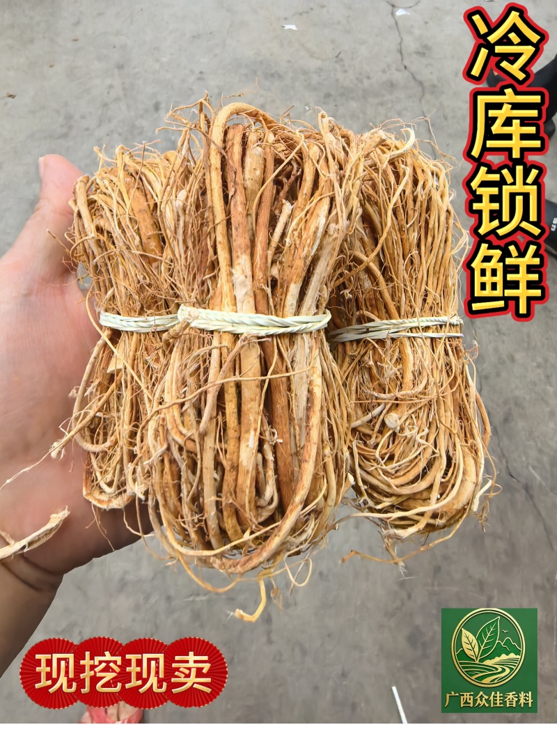 五指毛桃产地直供无硫干货煲汤祛湿全国发货