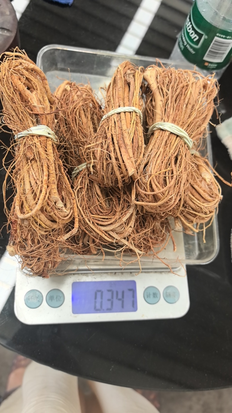 五指毛桃产地直供无硫干货煲汤祛湿全国发货