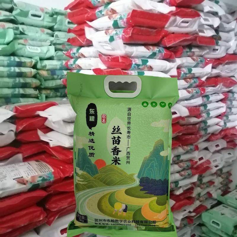 【精品】广西贺州丝苗香米真空包装原生态种植10斤