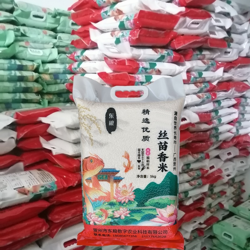 【精品】广西贺州丝苗香米真空包装原生态种植10斤