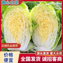 【热卖】陕西精品黄心白菜大量上市品质保证一手货源量大从优