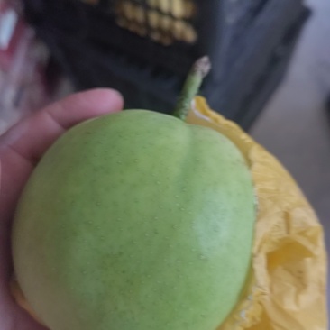 酥脆一号月底即将上市有需要的老板可以联系