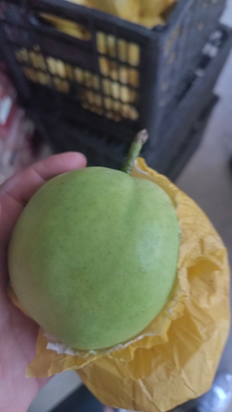 酥脆一号月底即将上市有需要的老板可以联系