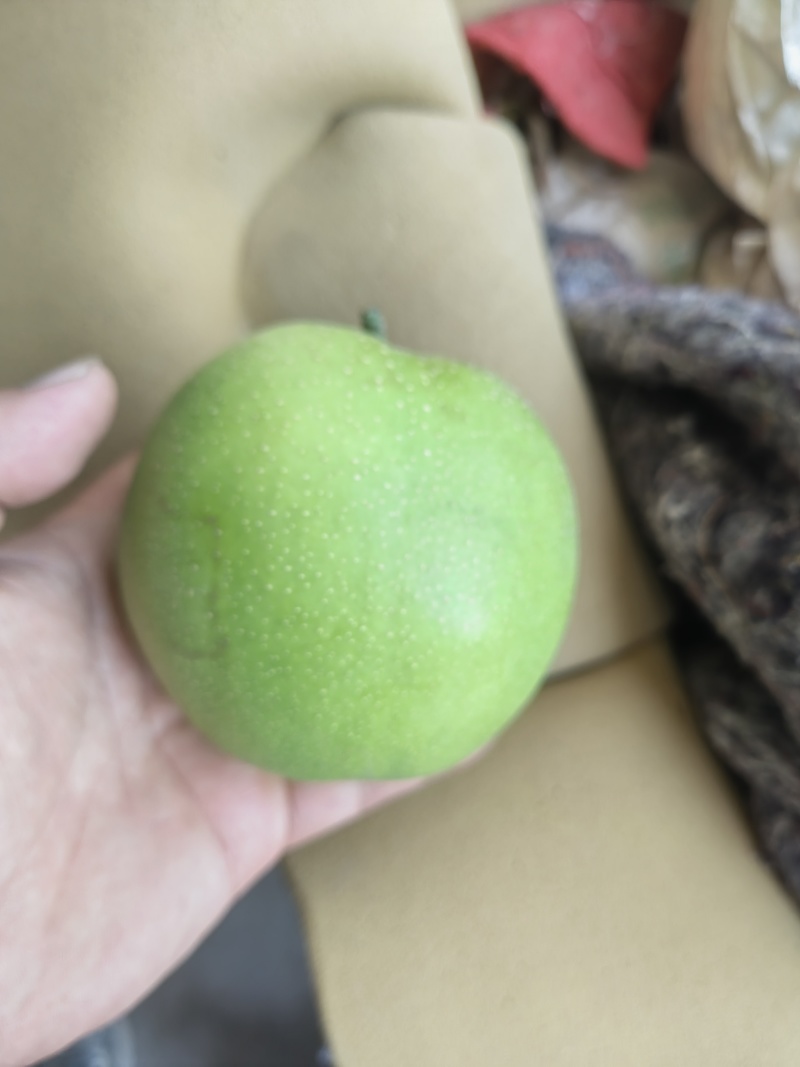酥脆一号月底即将上市有需要的老板可以联系