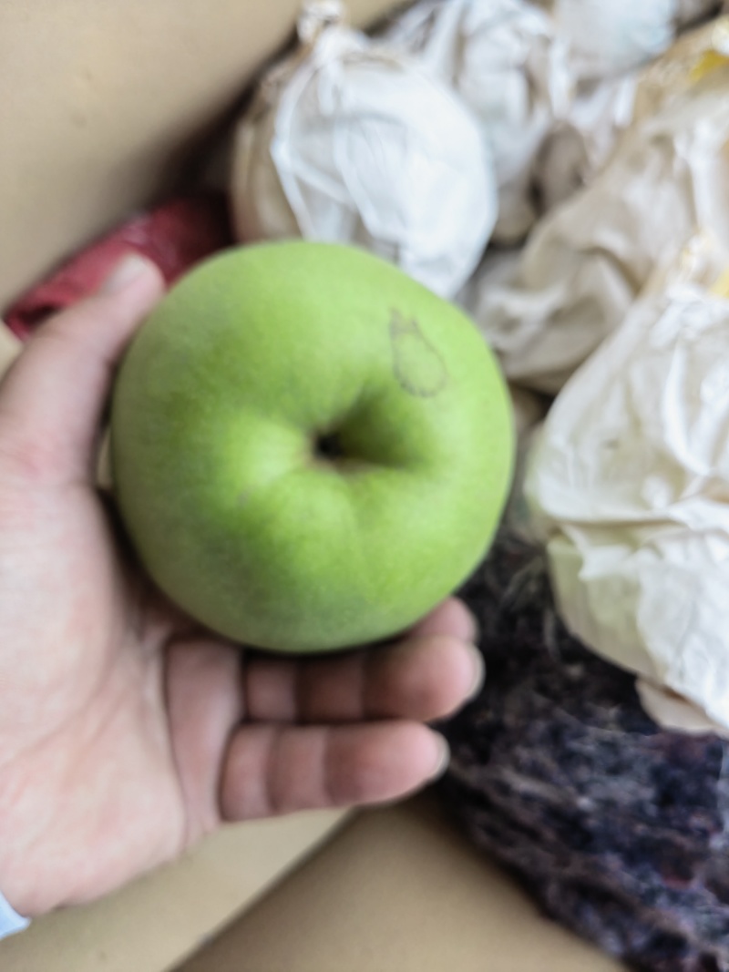 酥脆一号月底即将上市有需要的老板可以联系