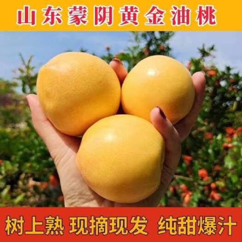 黄油桃