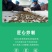 内蒙瓜子原味瓜子内蒙原产地直发清脆香甜包邮到家
