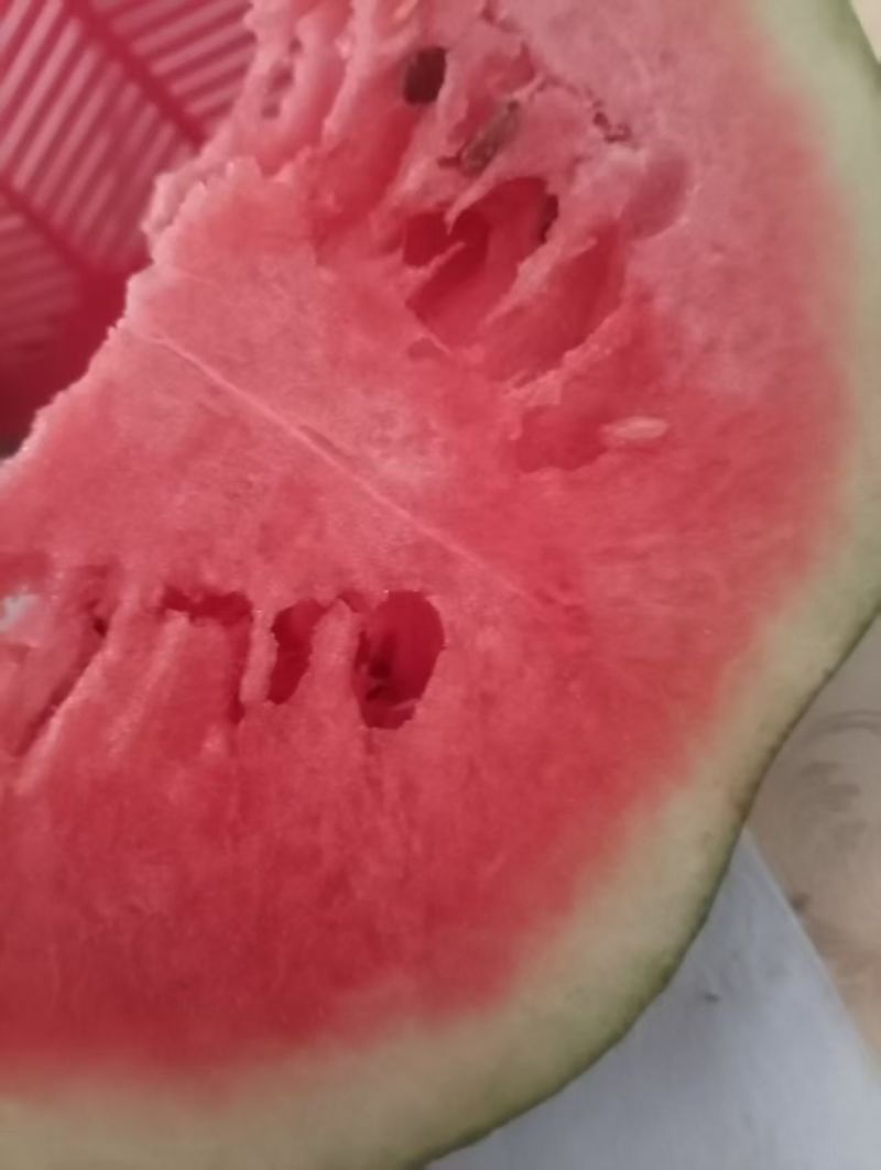 金花西瓜