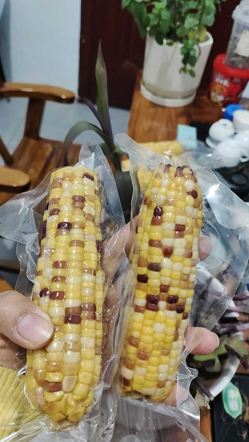 真空独立包装，口感甜糯，常温保存，7-8成熟