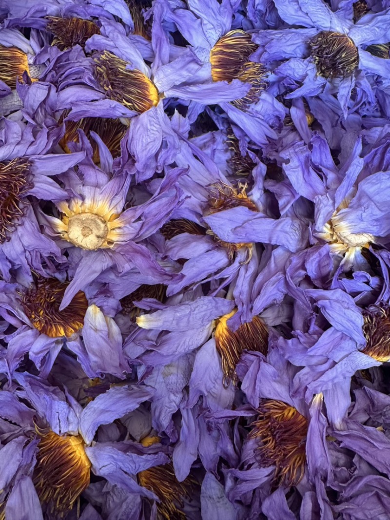 蓝莲花