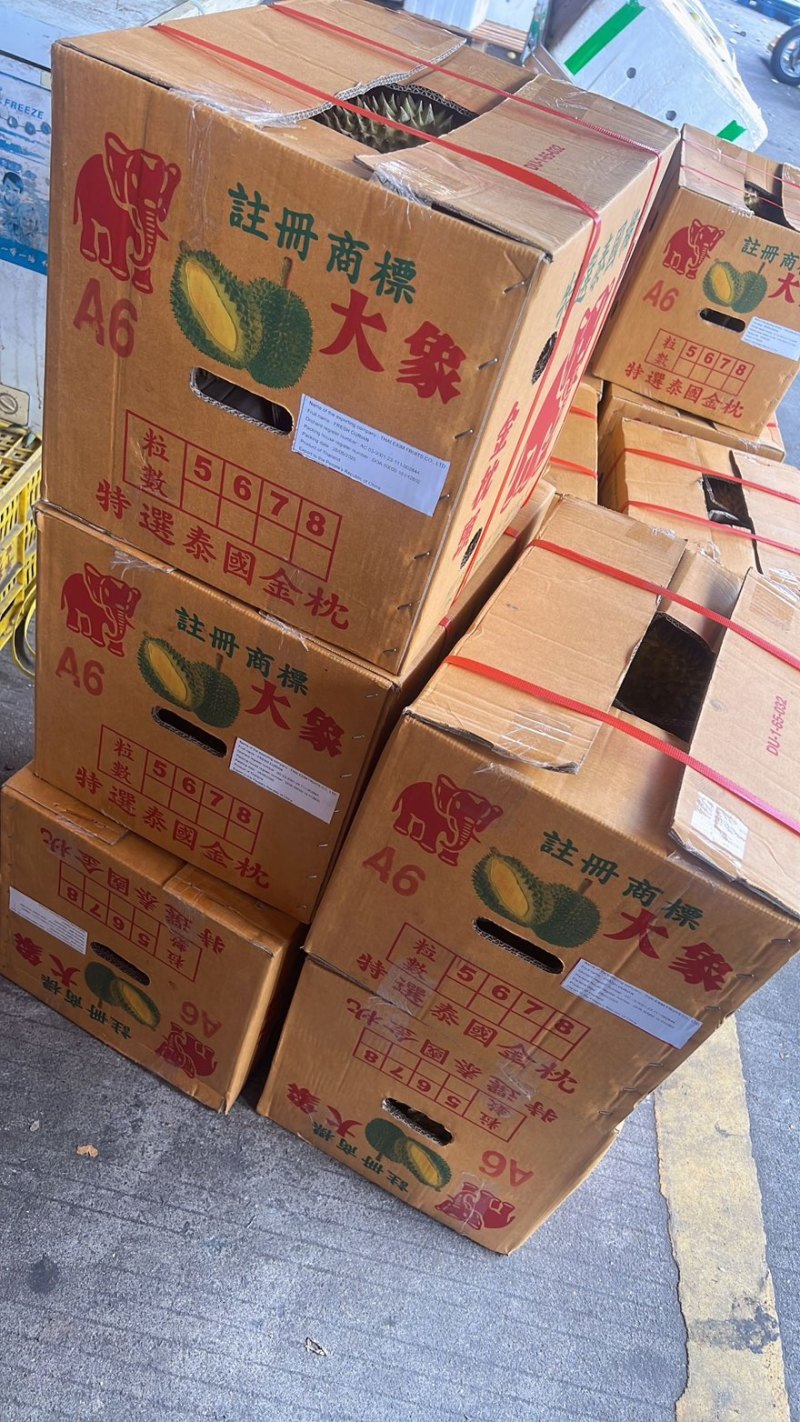 大象牌金枕榴莲A619KG380一件坏果包赔