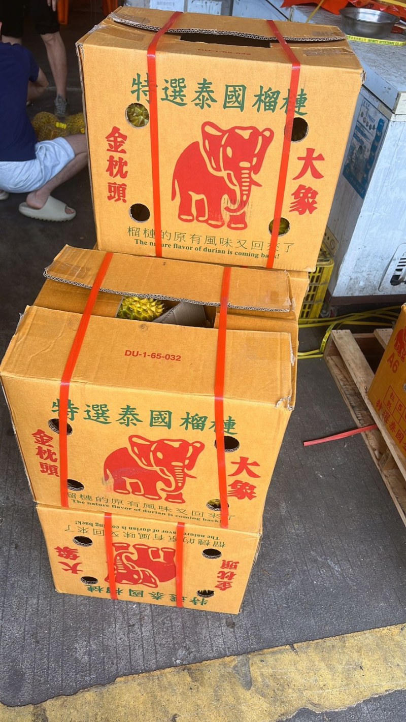 大象牌金枕榴莲A619KG380一件坏果包赔