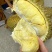大象牌金枕榴莲A619KG380一件坏果包赔