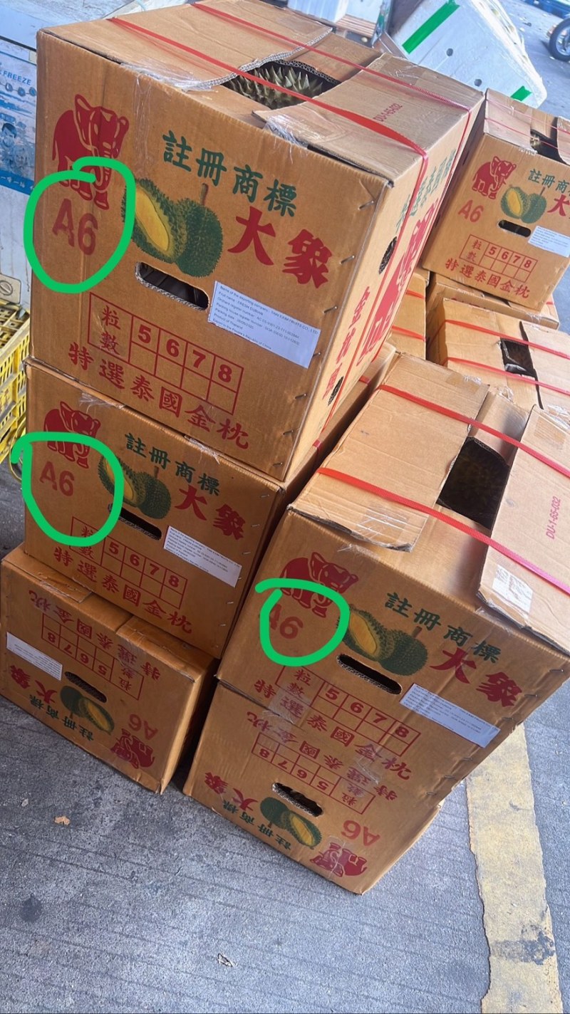 大象牌金枕榴莲A619KG380一件坏果包赔