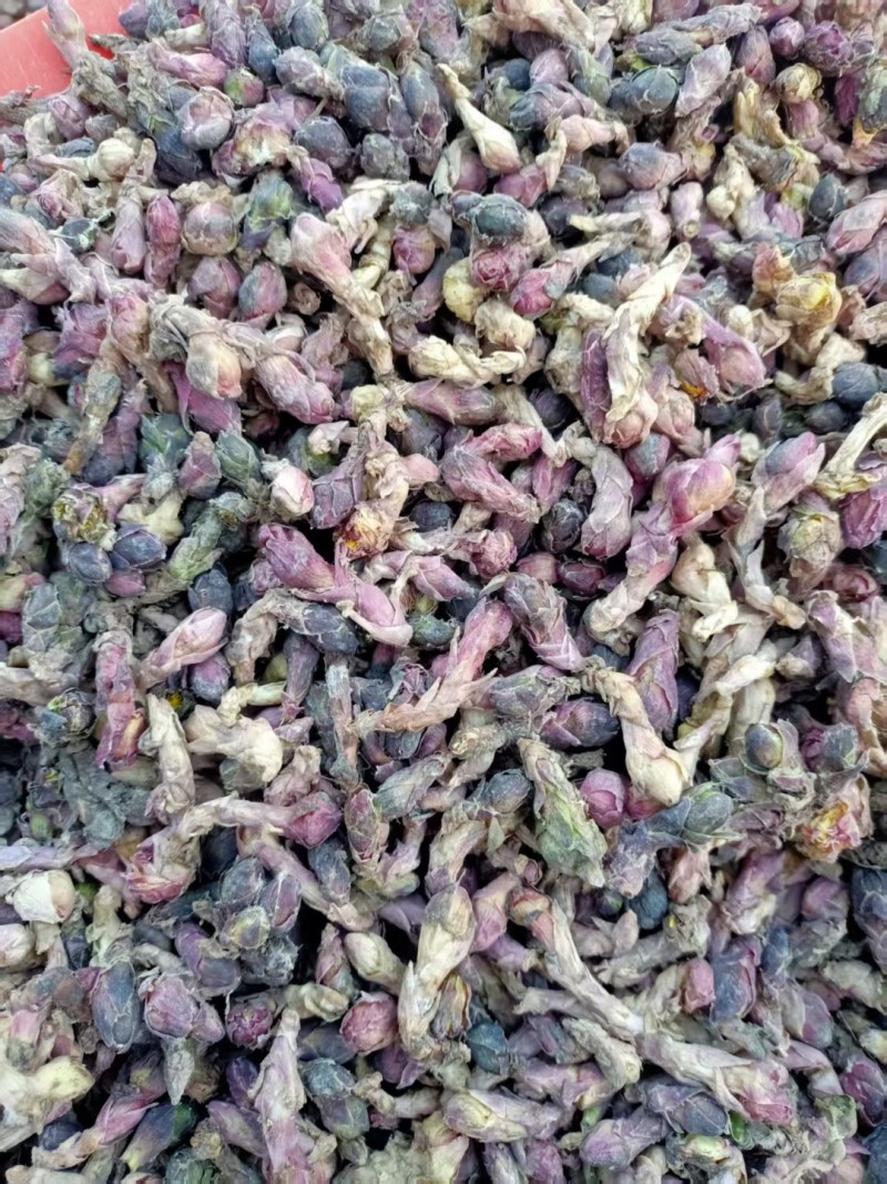 甘肃产地款冬花，产地直发。量大从优