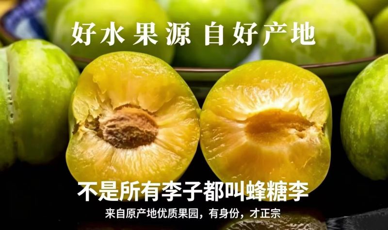 蜂糖李