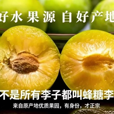 蜂糖李