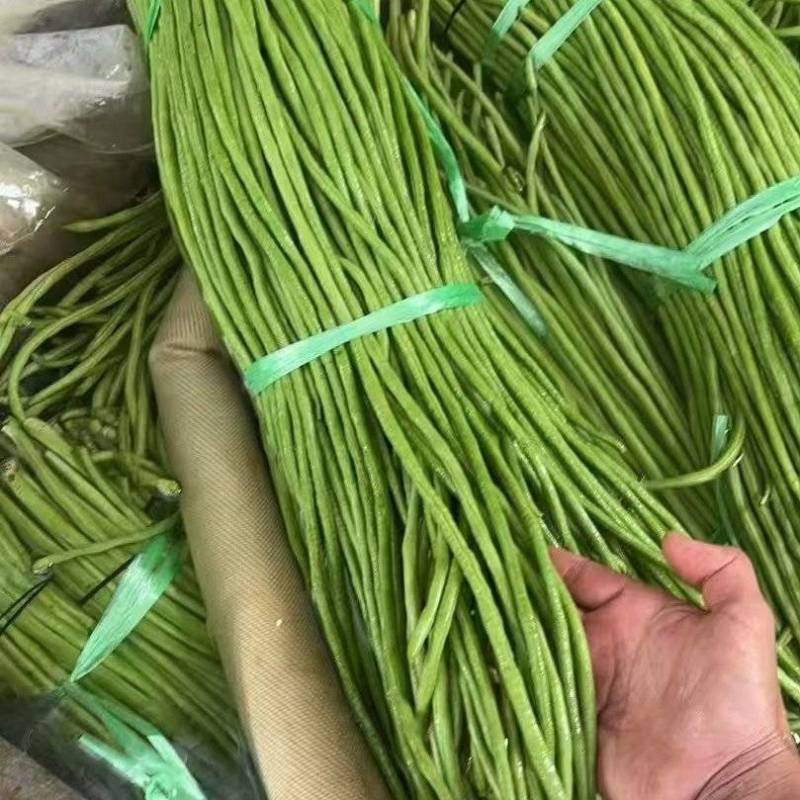 湖北长条青缸豆，品质好，价格优。