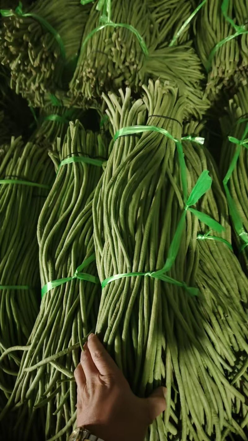 湖北长条青缸豆，品质好，价格优。