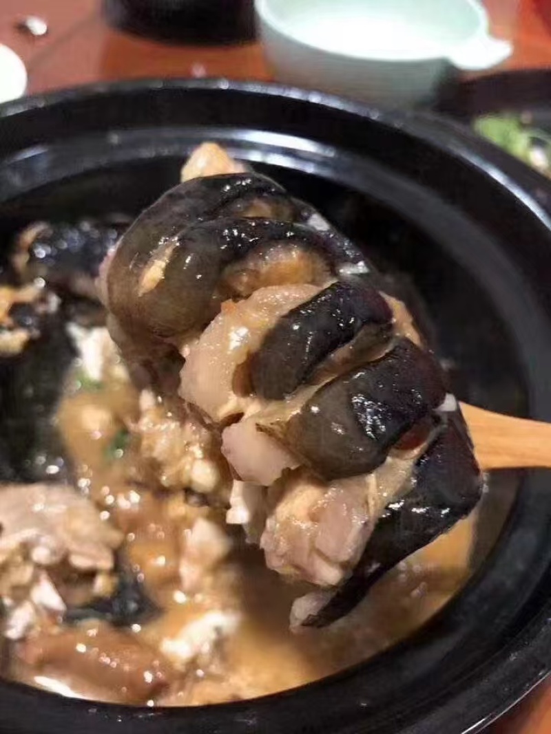 活鳗鱼全国活寄，潮汕批发，一手货源
