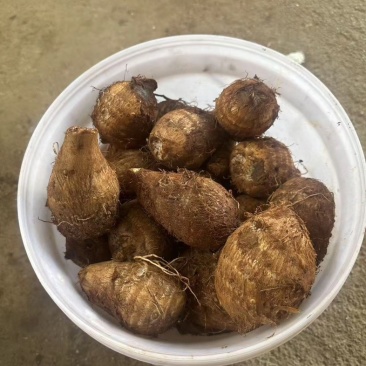 牛奶芋头