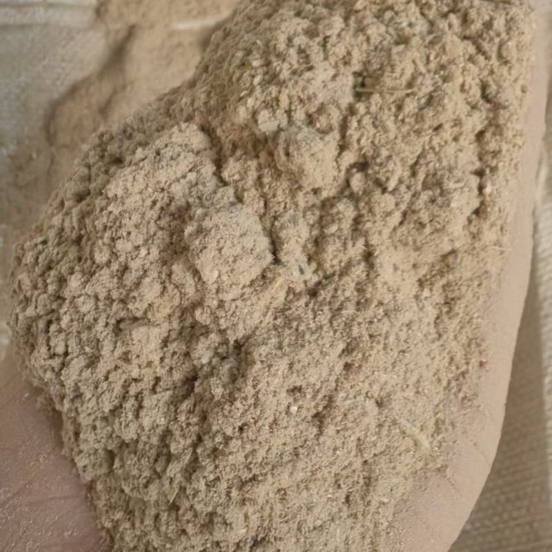 黄麦毛