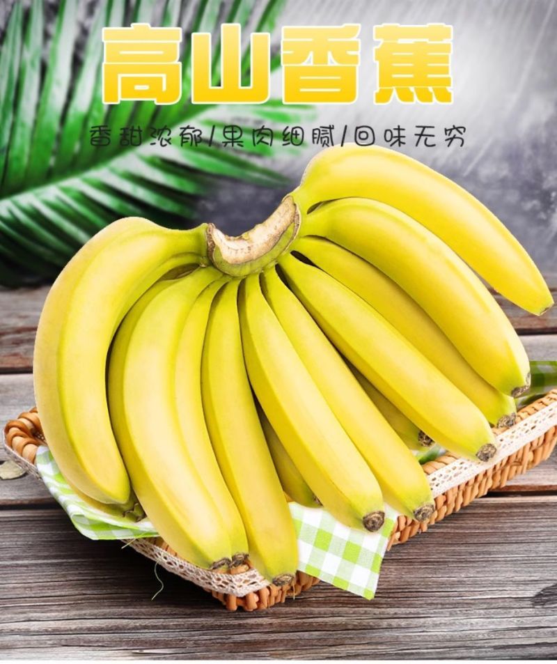 云南香蕉青香蕉商超香蕉电商香蕉一件代发抖音视频号拼多多