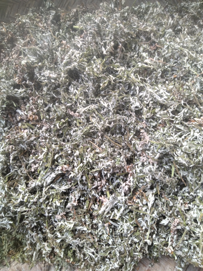 野生艾草干艾草干枝