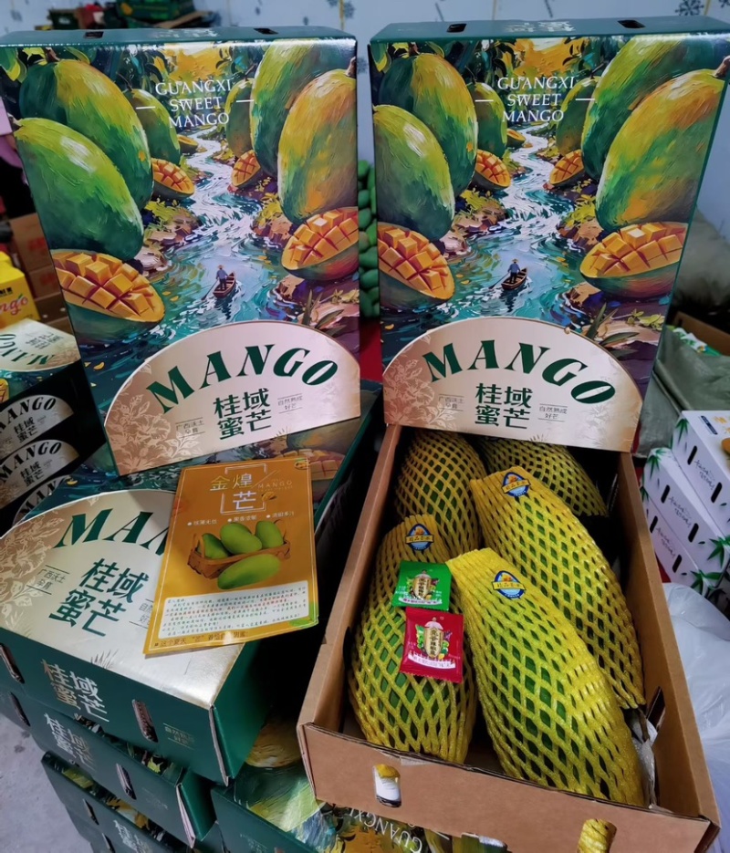 金煌芒一件代发