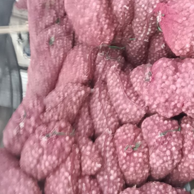 黑山独头蒜
